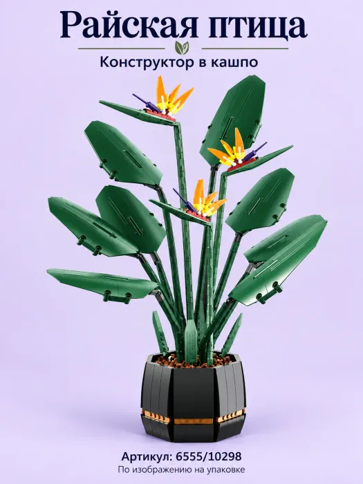 Райская птица в кашпо